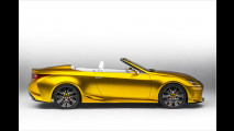 Lexus LF-C2: Ausblick