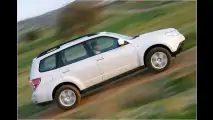 Starker Forester