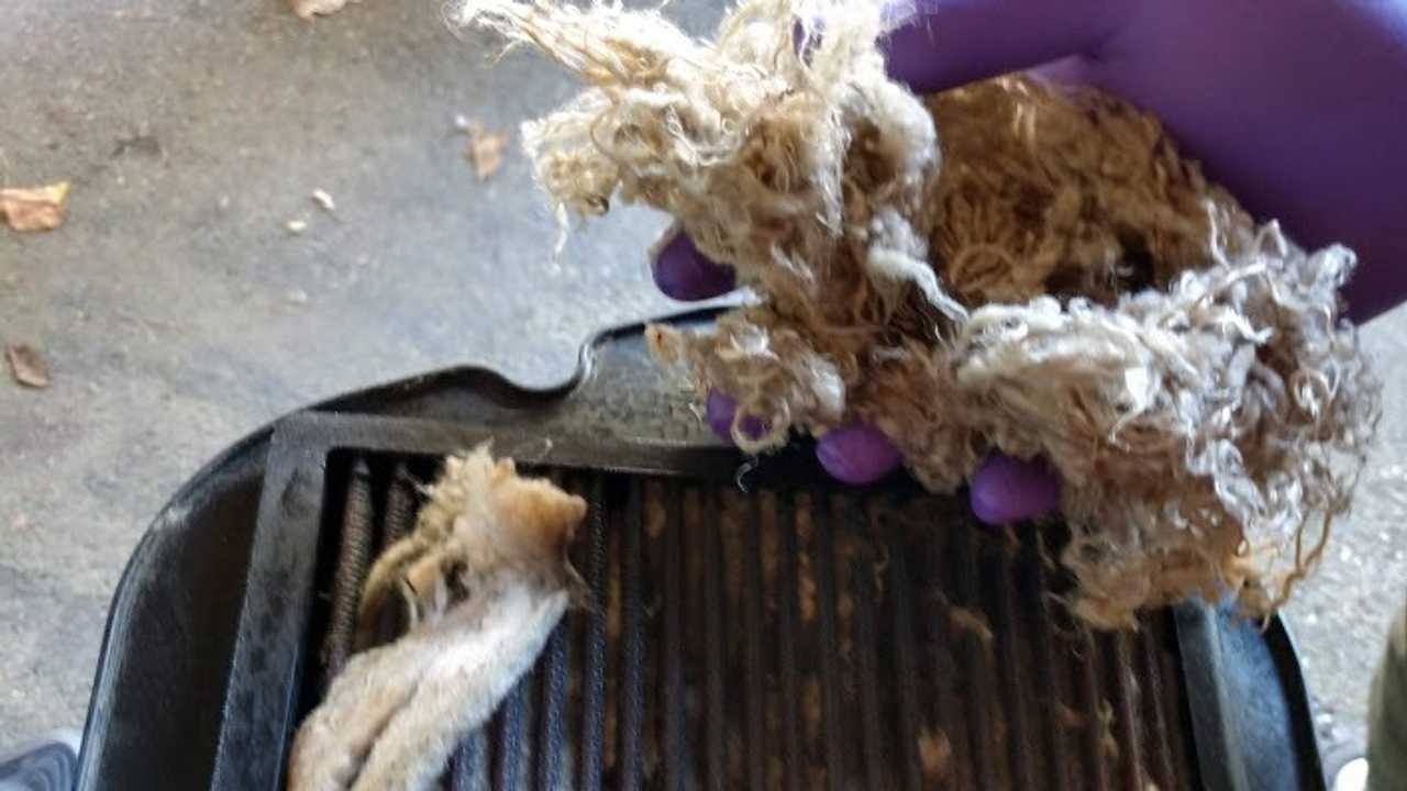 Mousey Air Filter