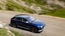 Audi SQ8 TDI im Test
