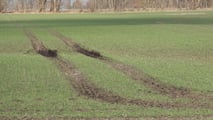 AXION TERRA TRAC il trattore ideale anche per la concimazione