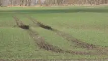 AXION TERRA TRAC il trattore ideale anche per la concimazione