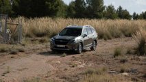 Prueba Subaru Forester Hybrid Executive Plus