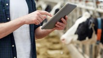 Bolus ruminali e sensori interni per l’estro bovino: applicazioni 2026
