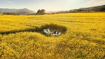 Vespa Roma 2026