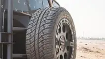 MAN TGE de delta4x4 y X-raid