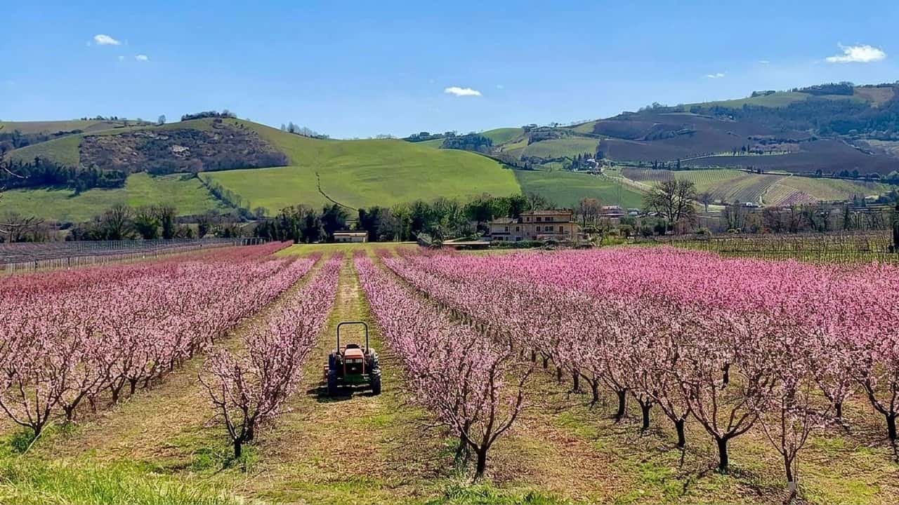 maxi-polo-in-valdaso-quanto-risparmieranno-davvero-le-aziende