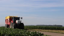 Ddl Tutela Agroalimentare: più tutela per le imprese Dop