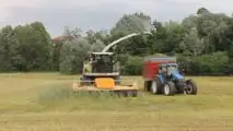 Come migliorare fermentazione e stabilità dell’insilato di triticale?