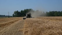 Come gestire rischio prezzi del grano duro con scelte meccaniche e contratti?