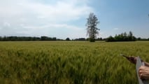 Strategie tecniche per ridurre costi per ettaro del grano duro intervenendo su macchine agricole, cantieri di lavoro, raccolta e consumo di gasolio