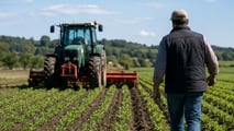 Tutto sui nuovi contributi INAIL in agricoltura: aliquote aggiornate per i lavoratori dipendenti e nuovi importi fissi per gli autonomi