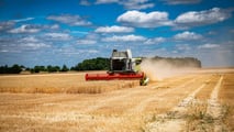 Il grano tocca 237 euro per tonnellata a Parigi con un rialzo del 15% a luglio: gli attacchi allo stretto di Kerch bloccano le esportazioni di Russia e Ucraina.