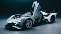 Apollo EVO (2026) Caribbean Dragon