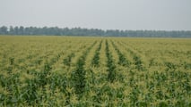 La turbolenza geopolitica torna a minacciare il credito agrario. Con l'Euribor in risalita e la BCE che non esclude nuovi rialzi