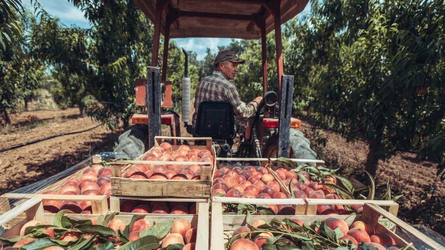 100 mila ettari in meno nella frutticoltura italiana