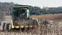 Testata girasole Fantini G03: ad Agritechnica 2025