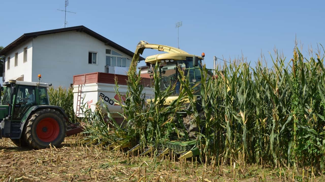 Agricoltura: 10 anni di calo, -10,6% di imprese