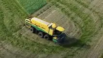 Oxbo GP6300: raccoglitrice di piselli 2 o 3 assi ad alta resa