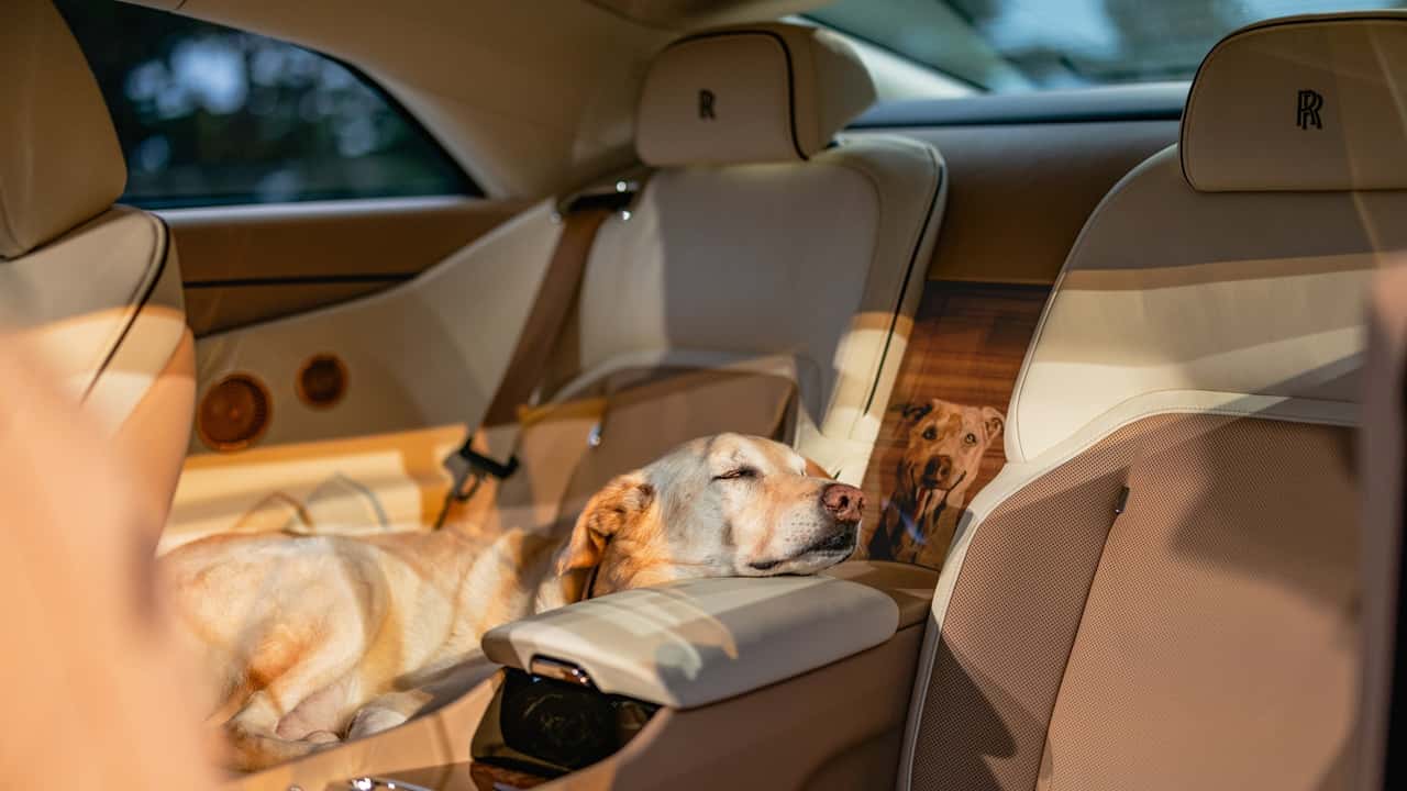 Rolls-Royce Spectre Bailey