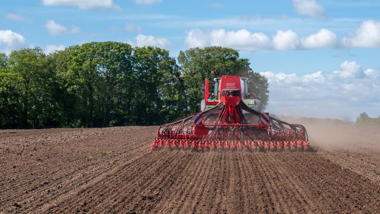 Il rapporto Ismea certifica la crescita record del reddito agricolo (+9,2%) e i primati europei del settore. Export ai massimi