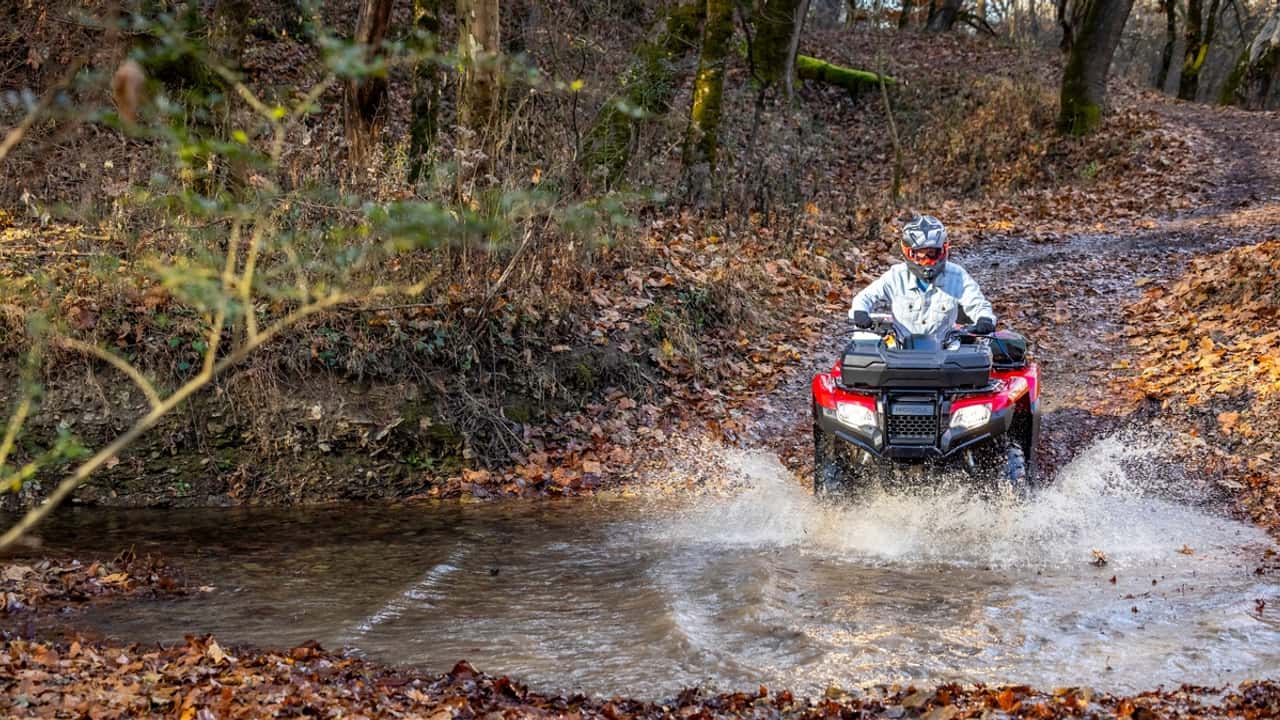 honda fourtrax 2026