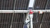 Bobcat in campo nel Delta del Po: i mezzi protagonisti di un maxi impianto agro-fotovoltaico a Loreo