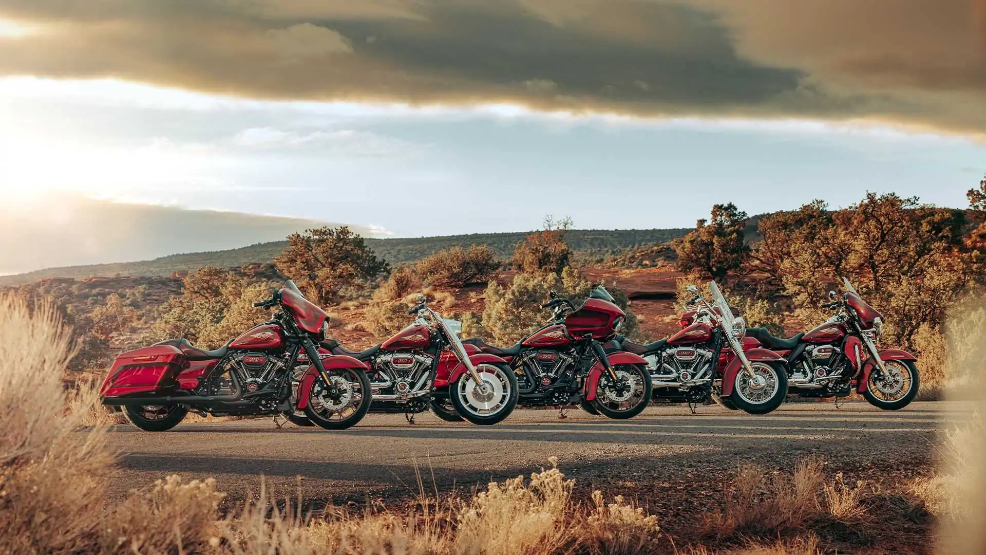 Harley-Davidson traz série de aniversário ao Brasil com moto