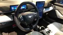 Ford E-Transit e Mustang Mach-E (Argentina)