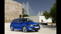 3. Skoda
