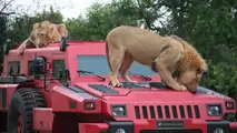 Paramount Group Marauder armored vehicle on Top Gear, 1280, 27.06.2011