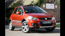 Suzuki mit Feinschliff