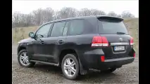 Japanischer Kraxler