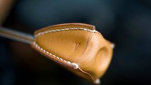 Hermès-Jubiläums-Ente zum 60. Geburtstag