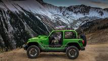 2018 Jeep Wrangler in Mojito! Clear Coat