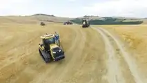 Raptor e Predator Di Raimondo