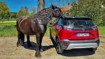 Opel Crossland 1.2 DI Turbo (2021) im Dauertest, Teil 2