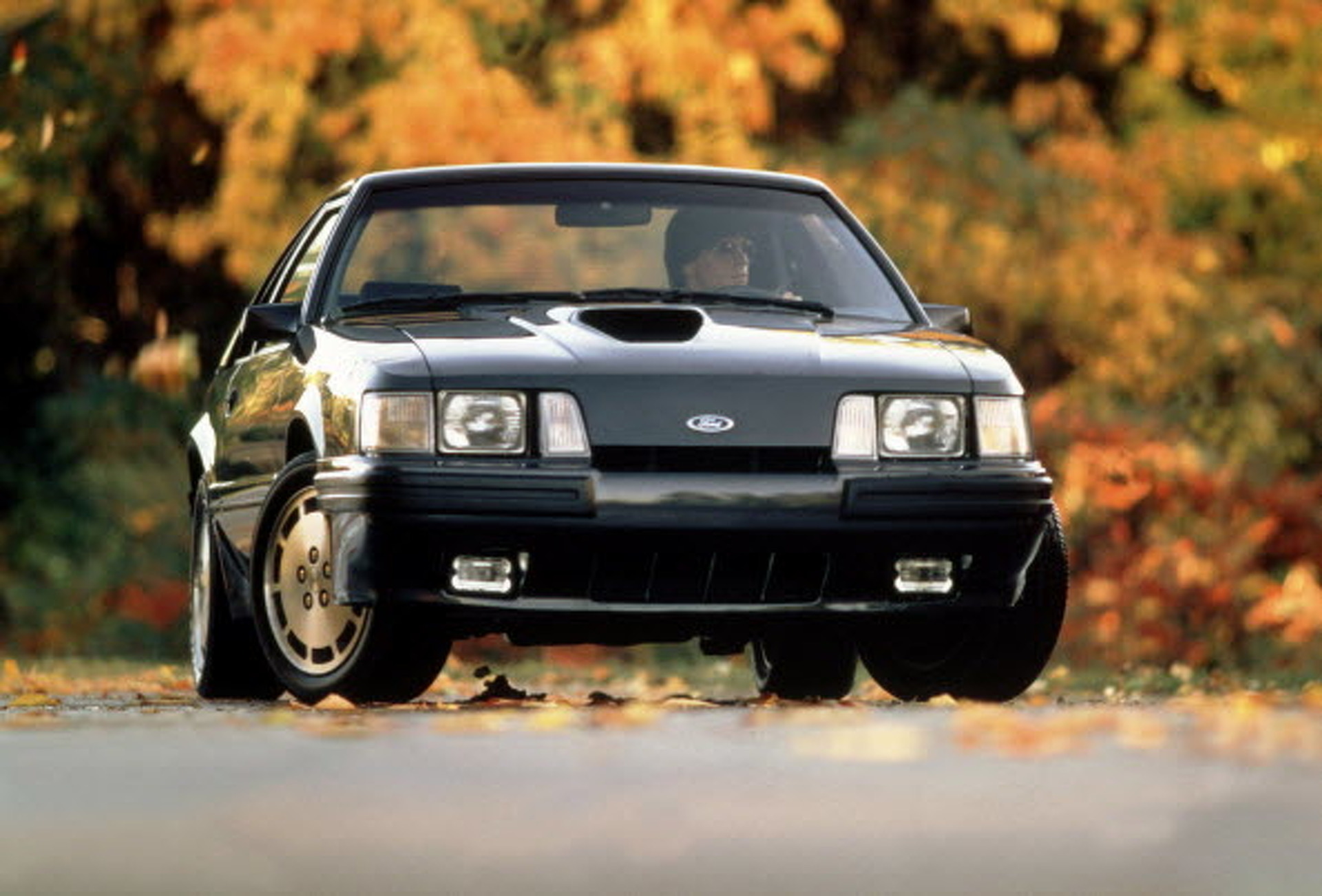 Sports Car Face-Plant: Mustang SVO (1984 to 1986)