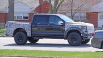 Raptor R