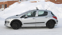 2013 Peugeot 301 mule spy photo