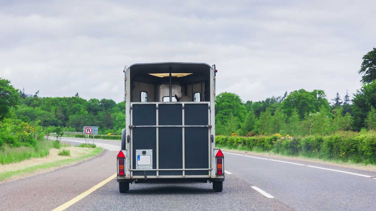 Horse trailer on motorway