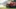Honda CR-V 2018