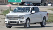 2019 Ford F-150 Limited casus fotoğraf