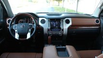 The Leather And Trim