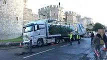 Mercedes Windsor Castle christmas tree