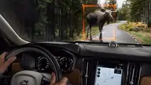 Essai Volvo S90