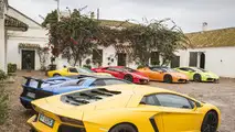 Lamborghini Miura 50th anniversary celebrations