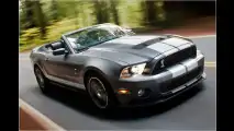 Mehr Muskeln für Mustang