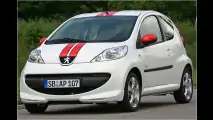 Kleiner Sport-Löwe