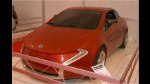 Bertone Suagna